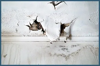 Miami Gardens Emergency Restoration Miami Gardens, FL 786-350-3360 Miami Gardens Emergency Restoration Miami Gardens, FL 786-350-3360