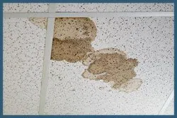 Miami Gardens Emergency Restoration Miami Gardens, FL 786-350-3360 Miami Gardens Emergency Restoration Miami Gardens, FL 786-350-3360 - sid-leaks-v2-wgr-11